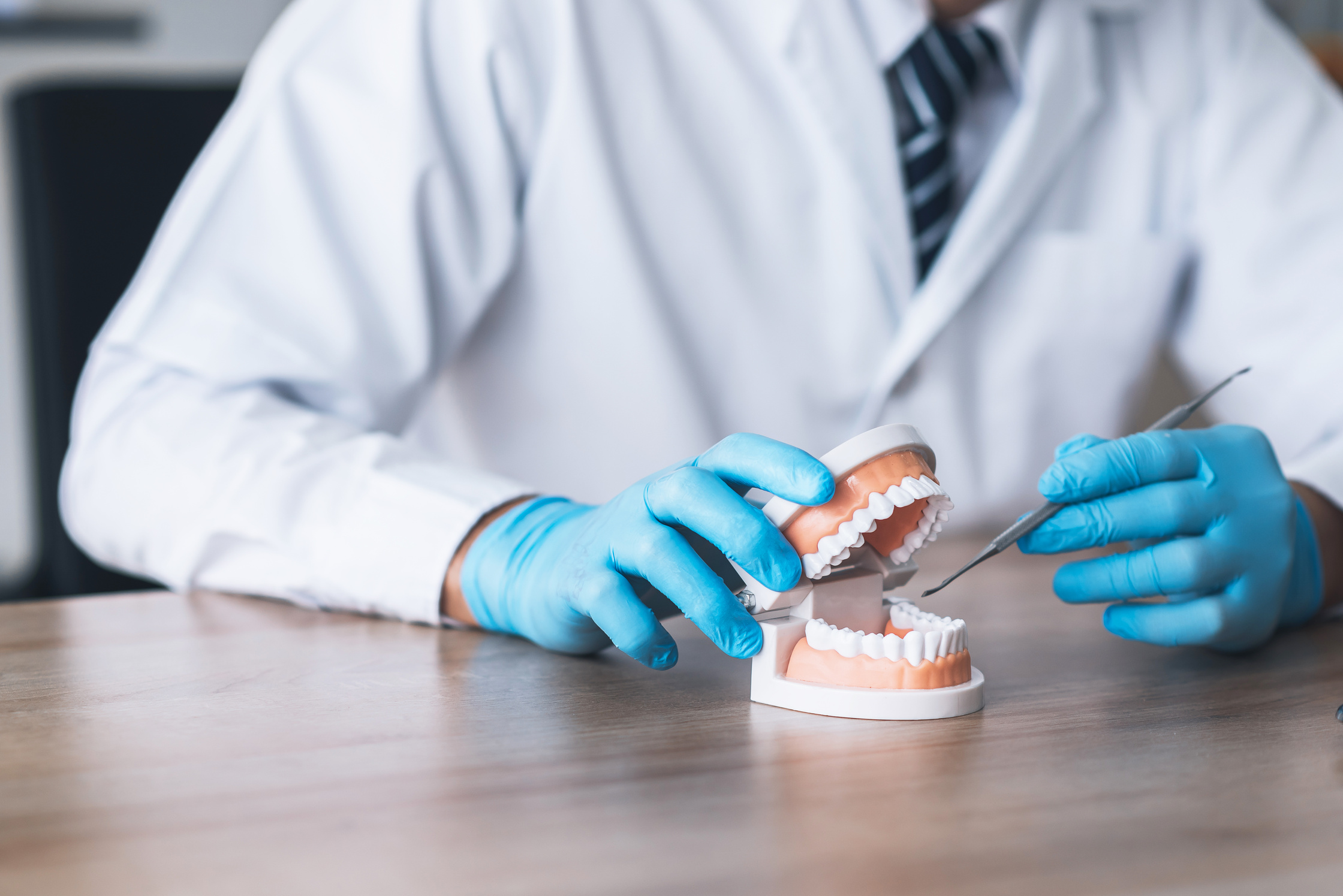 Dentist using tooth jaw model